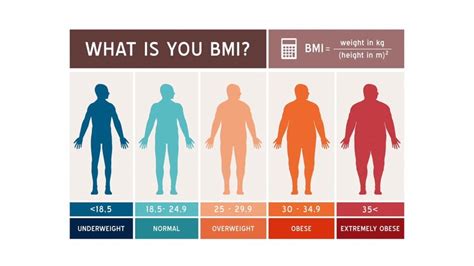 Chỉ số bmi cao có thể cho thấy mức độ béo phì hay thừa cân nhiều. Cách tính và ý nghĩa của chỉ số BMI trong đánh giá tình ...