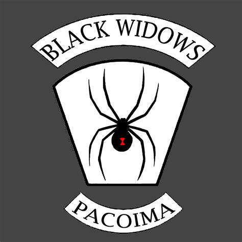 The Black Widows Motorcycle Club Los Angeles Ca