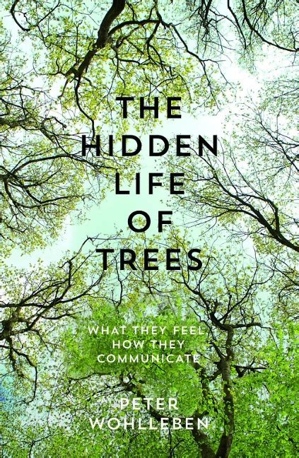 The Hidden Life Of Trees What They Feel How They Communicate Peter