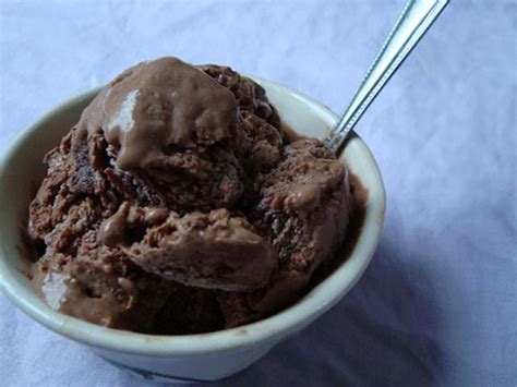 As an ice cream lover, she was in heaven. Low Calorie Vegan Chocolate Sorbet Recipe