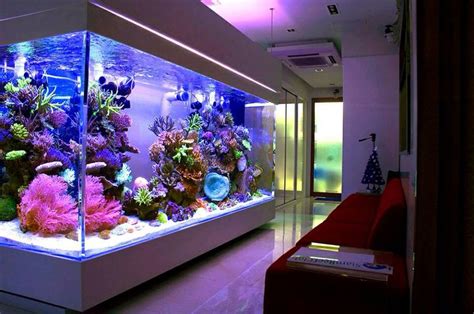 The 20 Most Lavish Home Aquariums In The World