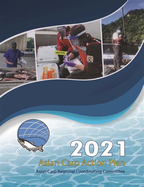 asian carp regional coordinating committee releases 2021 asian carp action plan