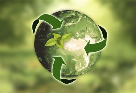 Sustainability and Eco-Friendly Practices - United print. signs. graphics.