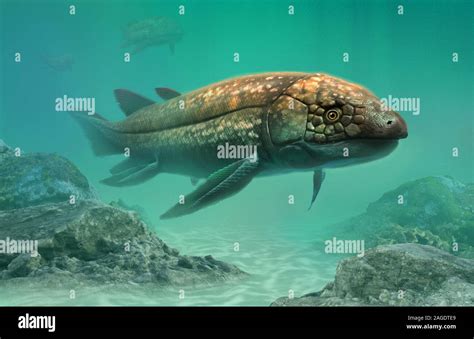 Devonian Fish Hi Res Stock Photography And Images Alamy