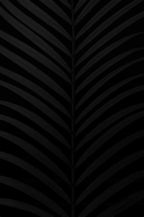Download Captivating Matte Black Palm Leaf Wallpaper