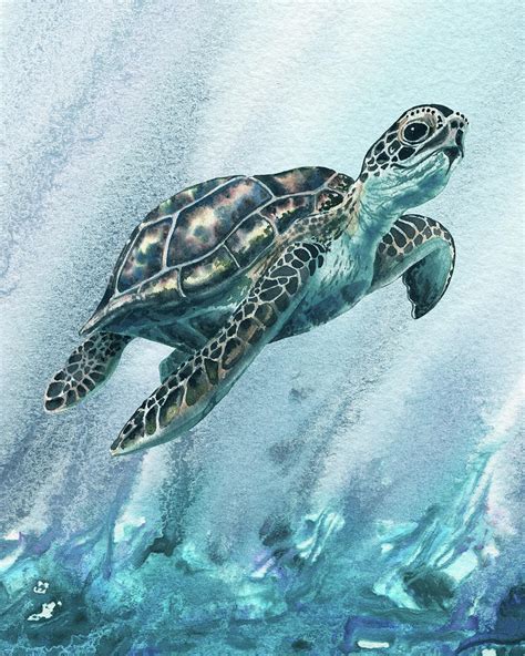 Sea Turtle Watercolor