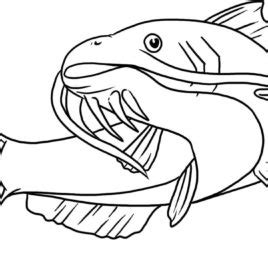 I figured it was a catfish and sure enough it was. Catfish Drawing | Free download on ClipArtMag