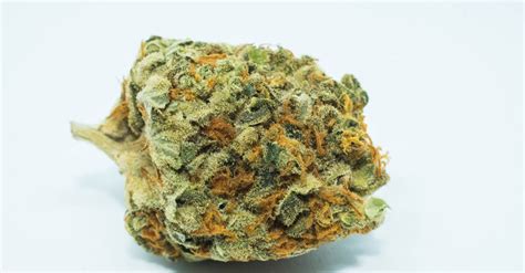 What Does Og Stand For In Cannabis Origin And History Bloom Medicinals