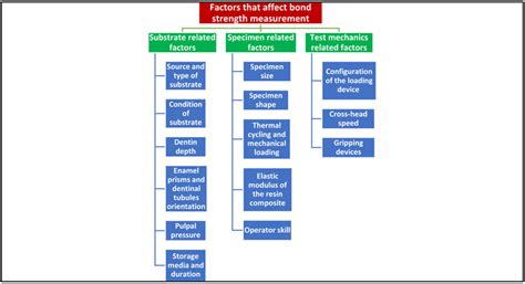 Factors That Affect Bond Strength Measurement Download Scientific