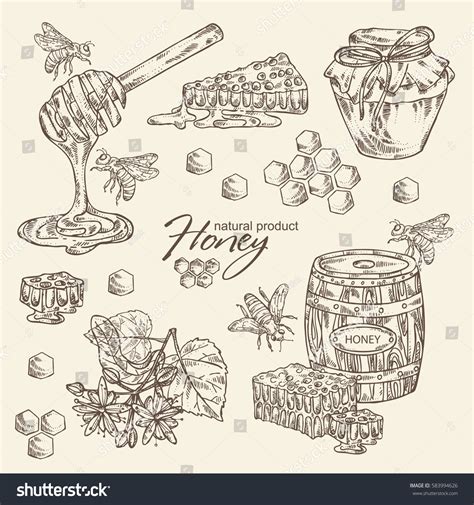Collection Honey Jar Honey Linden Flower Stock Vector Royalty Free