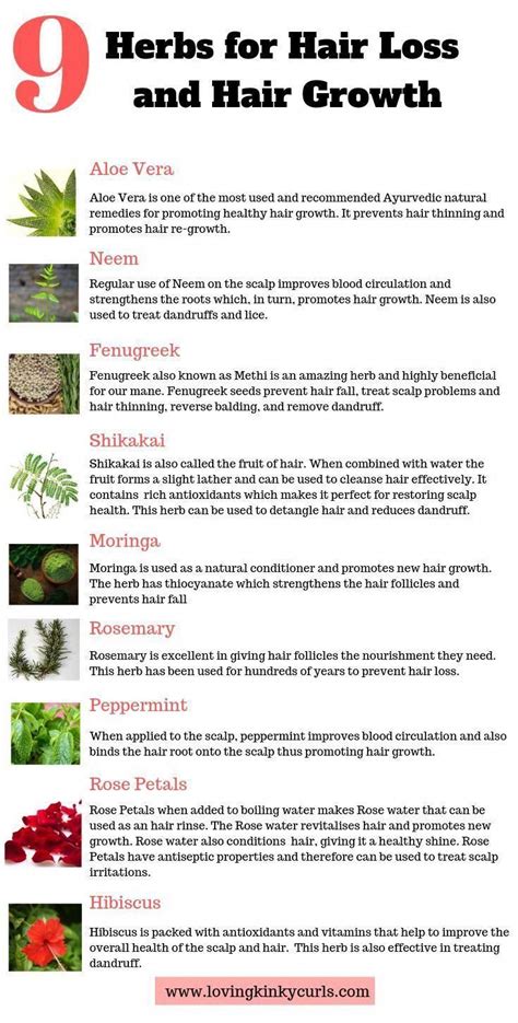 Here Is A List Of 9 Natural Herbs That Have Been Used For Decades To Prevent Hair Loss And