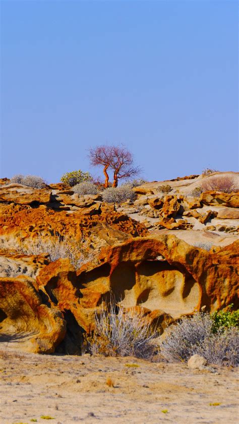 Desert Erosion At The Namib Naukluft Park Scenic Namibia Travel