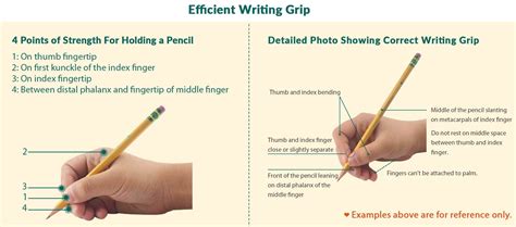 Here are some quick handwriting techniques and tips to improve pencil grasp > 2. How to Hold a Pencil Correctly? (Photo Illustration) - Firesara