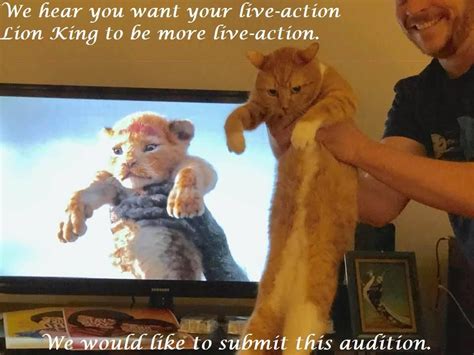 Live-Action Lion King Audition | Lion king, Live action, Lion