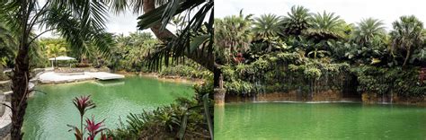 PARADISE FOUND – Venues