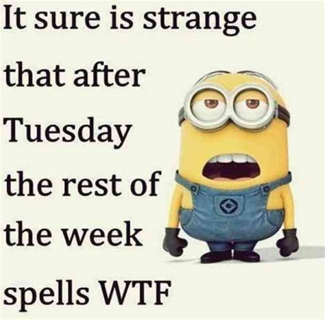 125 Best Funny Quotes To Brighten Up Your Day Funny Minion Pictures
