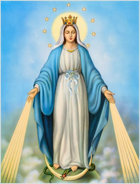 immaculate conception of the blessed virgin mary communio