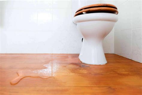 Toilet Leaks Only When Flushed The Best Fixing Guide