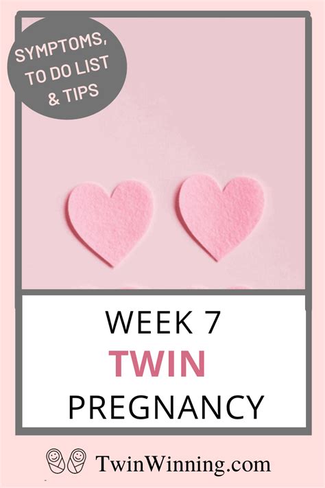 Week 7 Twin Pregnancy Symptoms Size Twin Development Twin Winning