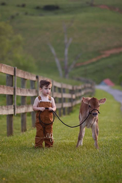 These Are The Purest Photos Weve Ever Seen Animals For Kids Animals