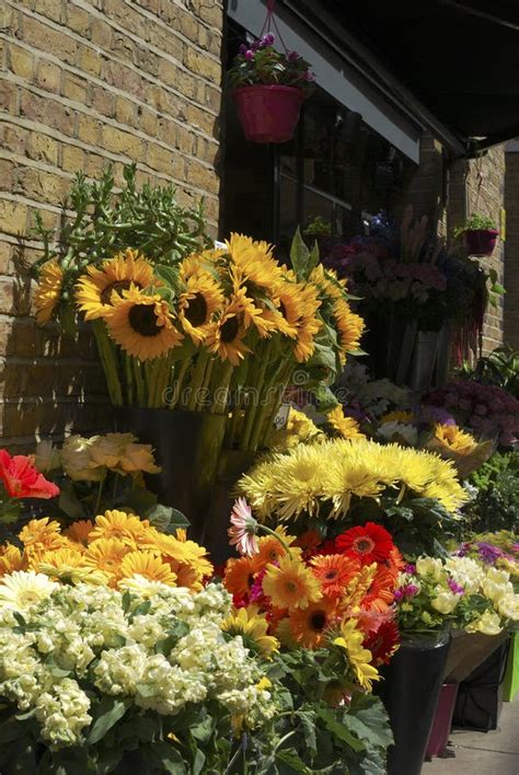 465 Flower Display Outside Florist Shop Stock Photos Free And Royalty