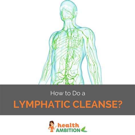 How To Do A Lymphatic Cleanse And Boost Your Immune System