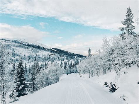 Wintertime In Scandinavia Snowy Landscape In Norwegian National Park