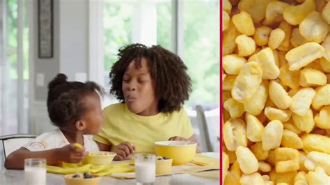 Kellogg Everyones Got Their Favorite Ad Commercial On Tv