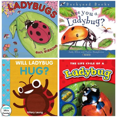 20 Fun Ladybug Books For Kids To Read Look Were Learning