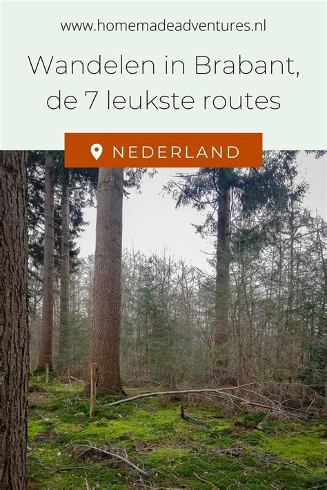 Wandelen In Brabant Dit Zijn De Leukste Natuurgebieden Van Noord Hot