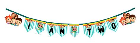 I Am Two Birthday Bunting Banner