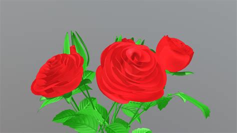 Rose Flowers Blooming Animation Support Buy Royalty Free D Model