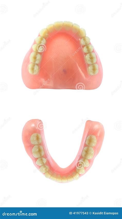 Complete Dentures Stock Image Image Of Root Isolated 41977543