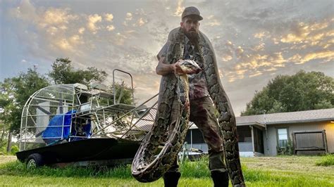 Florida Trapper Catches Possibly Record Sized Python