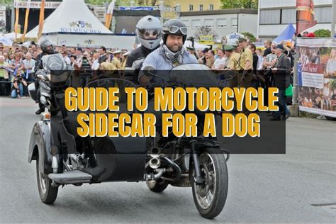 Motorcycle Sidecar For Dogs Everything You Need To Know