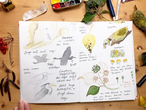 How To Start A Nature Journal Sketchbook Techniques For Nature New