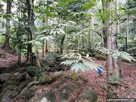 Gunung angsi dan hutan lipur ulu bendul, kuala pilah. pengalaman-piknik-hutan-lipur-jeram-toi (2) - Xplorasi ...