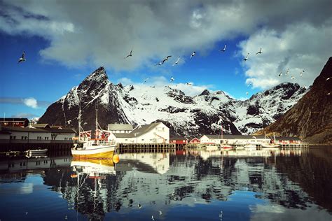 Fonds Decran Norvège Îles Lofoten Montagnes Maison Quai Mouettes