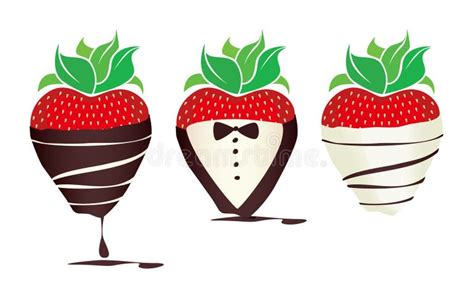 Chocolate Covered Strawberry Stock Illustrations 1100 Chocolate Covered Strawberry Stock