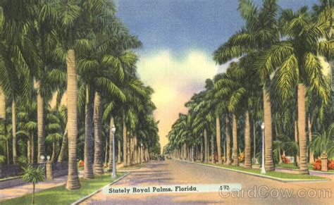 Stately Royal Palms Scenic FL