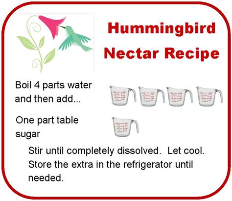 Overly weak nectar may not attract hummingbirds, and overly strong nectar can ferment more quickly and clog feeders more easily. SENIOR MOMENT 4 WOMEN: DAILY SCRIPTURE & PRAISE, 4/23/14