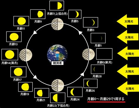 月齢とは？月齢と月の満ち欠けの関係をわかりやすく図で解説！