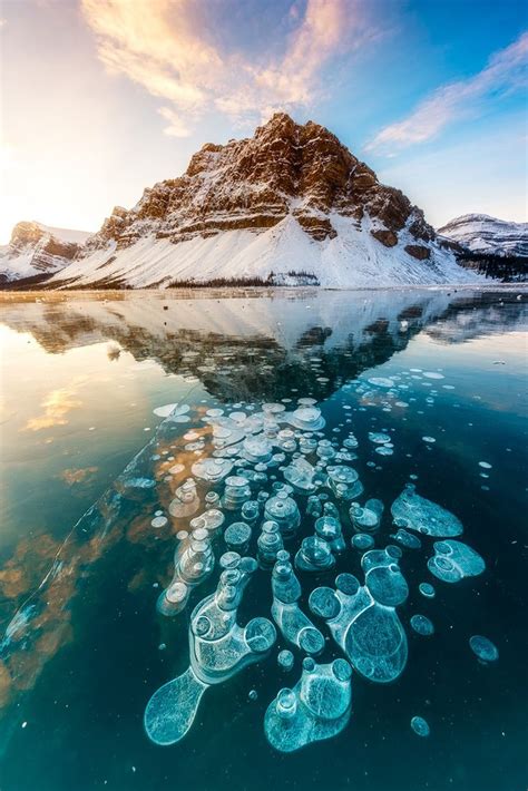 Stunning Frozen Methane Bubbles At Abraham Lake Canada Winter
