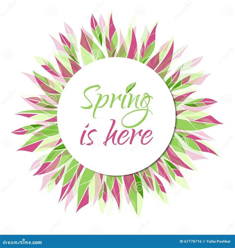 Spring Is Here Vector Card Banner Tag Label Stock Vector Image