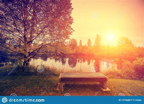 The Bench On The Lake Shore Stock Image Image Of Calm Bench 127268817
