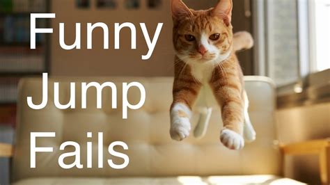 Funny Cat Jump Fails Funny Cat Video Compilation 2014 Youtube