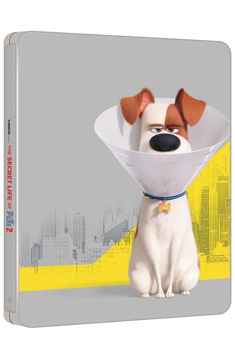 Blu Ray Disc 마이펫의 이중생활 2 3d2d 스틸북 한정판 The Secret Life Of Pets 2