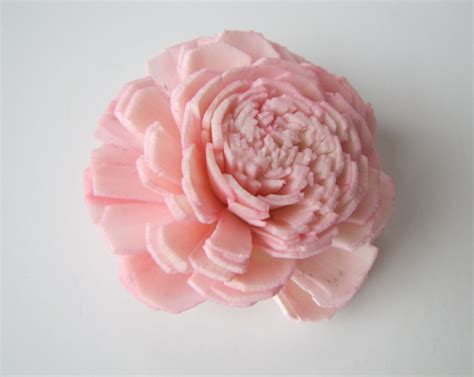 Blush Pink Belly Sola Flowers Set Of 10 Sola Flowers Wood Sola