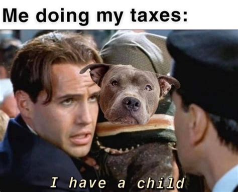 Fresh And Funny Taxes Memes And Accounting Memes