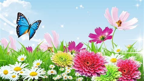 Simply click on image for download wallpapers for desktop from the above resolutions. Spring Butterfly Wallpaper Widescreen ~ Click Wallpapers | Butterfly wallpaper, Butterfly ...